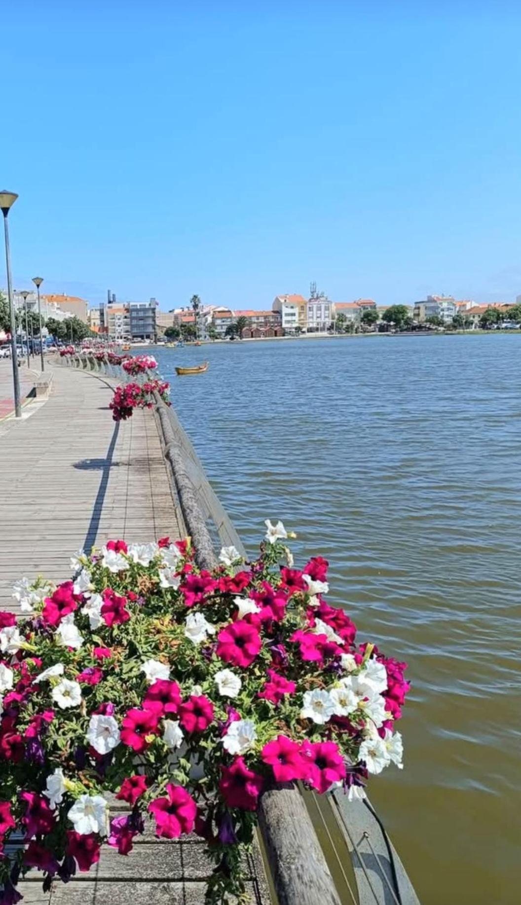 Terrace Praia de Mira